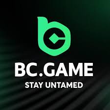 BC.Game Registration A Step-by-Step Guide to Getting Started